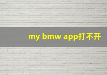 my bmw app打不开